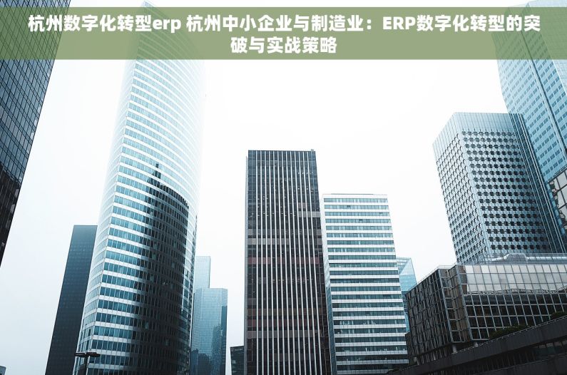 杭州数字化转型erp 杭州中小企业与制造业：ERP数字化转型的突破与实战策略