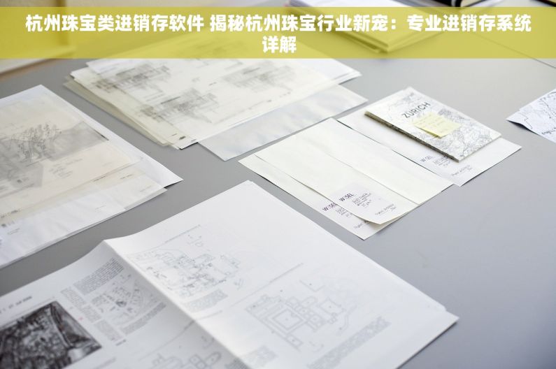 杭州珠宝类进销存软件 揭秘杭州珠宝行业新宠：专业进销存系统详解