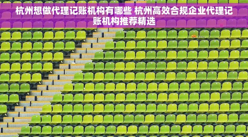 杭州想做代理记账机构有哪些 杭州高效合规企业代理记账机构推荐精选