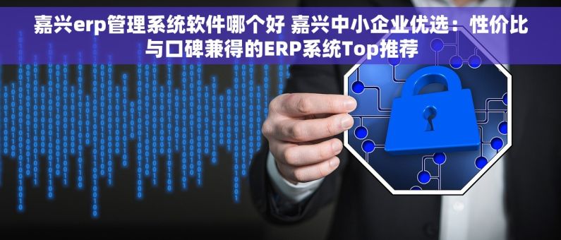 嘉兴erp管理系统软件哪个好 嘉兴中小企业优选：性价比与口碑兼得的ERP系统Top推荐