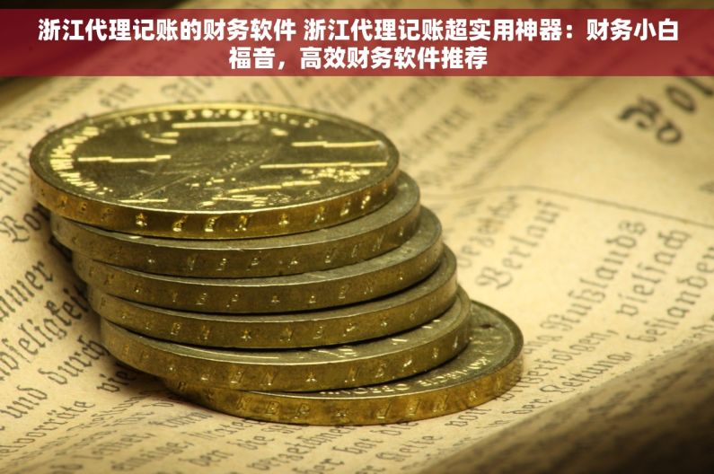 浙江代理记账的财务软件 浙江代理记账超实用神器：财务小白福音，高效财务软件推荐