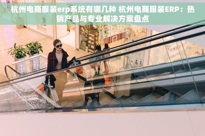 杭州电商服装erp系统有哪几种 杭州电商服装ERP：热销产品与专业解决方案盘点