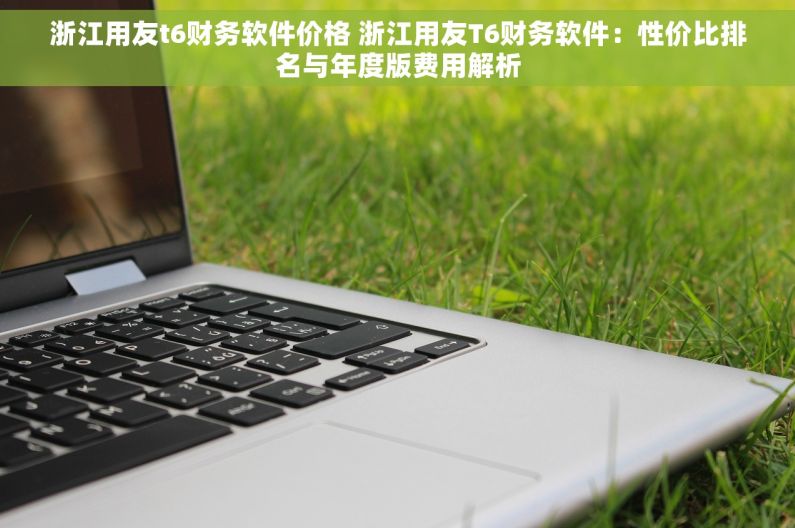 浙江用友t6财务软件价格 浙江用友T6财务软件：性价比排名与年度版费用解析