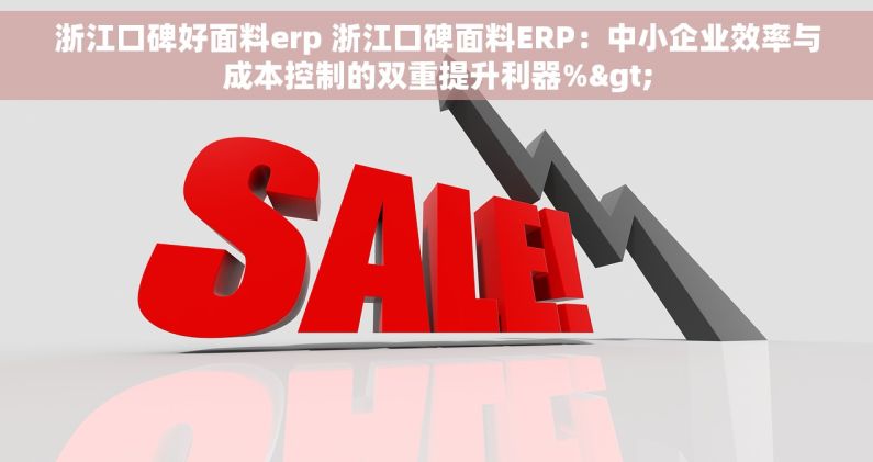 浙江口碑好面料erp 浙江口碑面料ERP：中小企业效率与成本控制的双重提升利器%>