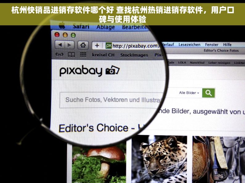 杭州快销品进销存软件哪个好 查找杭州热销进销存软件，用户口碑与使用体验