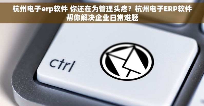 杭州电子erp软件 你还在为管理头疼？杭州电子ERP软件帮你解决企业日常难题