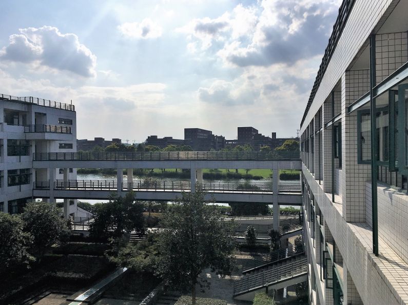 杭州修购资金管理升级与优化：抓住政策机遇提升企业效益的实战案例