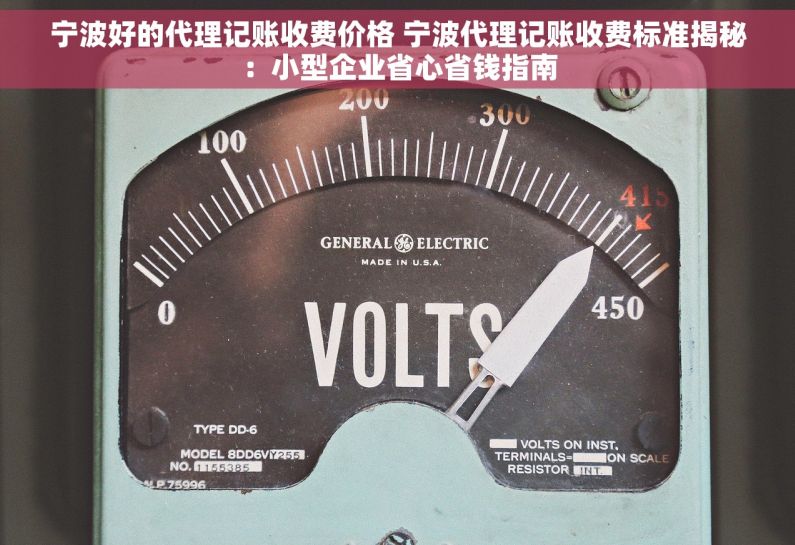 宁波好的代理记账收费价格 宁波代理记账收费标准揭秘：小型企业省心省钱指南