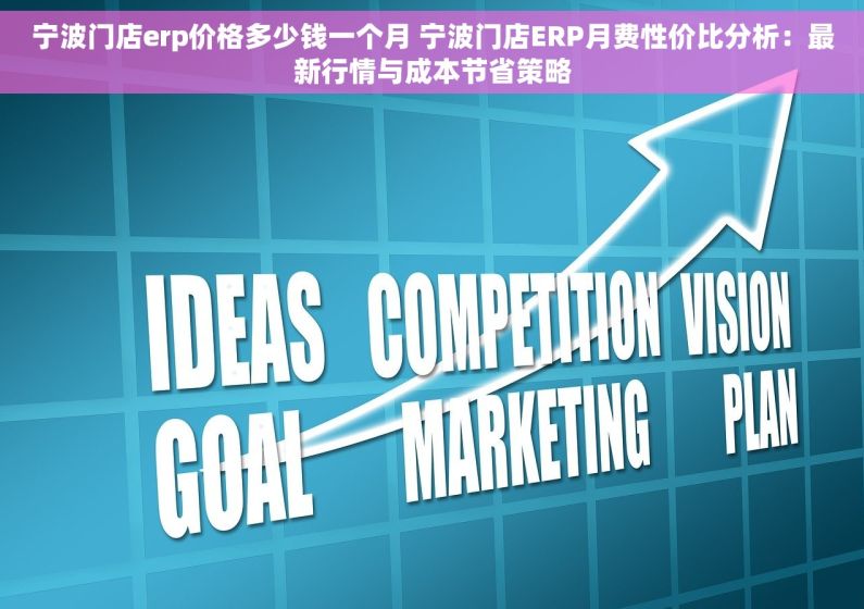 宁波门店erp价格多少钱一个月 宁波门店ERP月费性价比分析：最新行情与成本节省策略