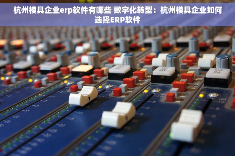 杭州模具企业erp软件有哪些 数字化转型：杭州模具企业如何选择ERP软件