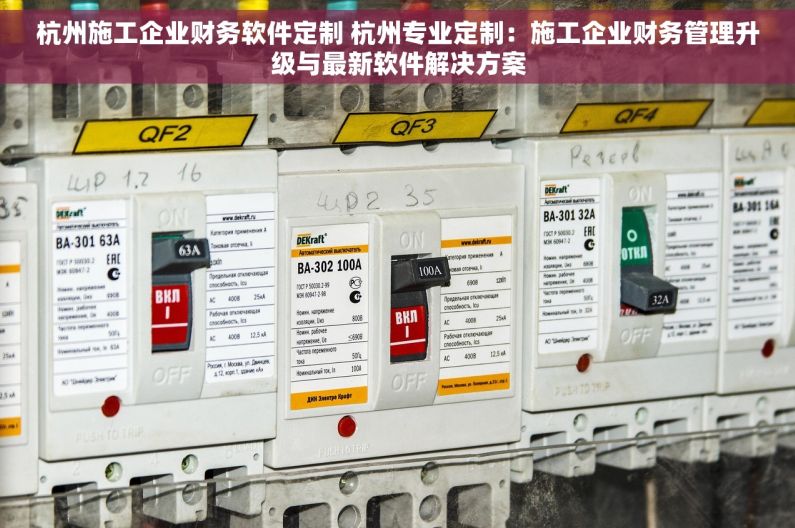 杭州施工企业财务软件定制 杭州专业定制：施工企业财务管理升级与最新软件解决方案