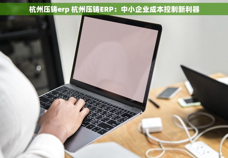 杭州压铸erp 杭州压铸ERP：中小企业成本控制新利器