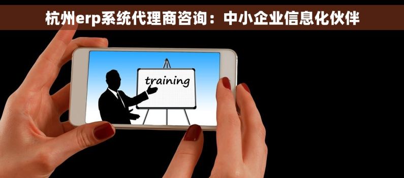 杭州erp系统代理商咨询：中小企业信息化伙伴