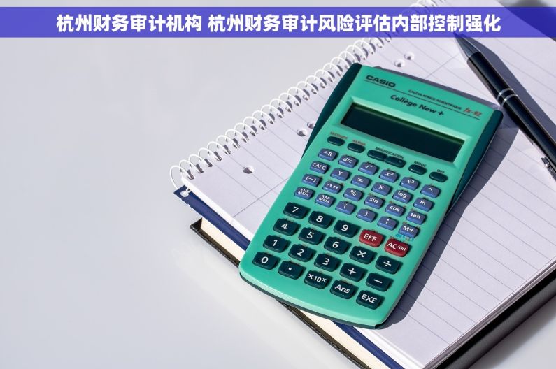 杭州财务审计机构 杭州财务审计风险评估内部控制强化