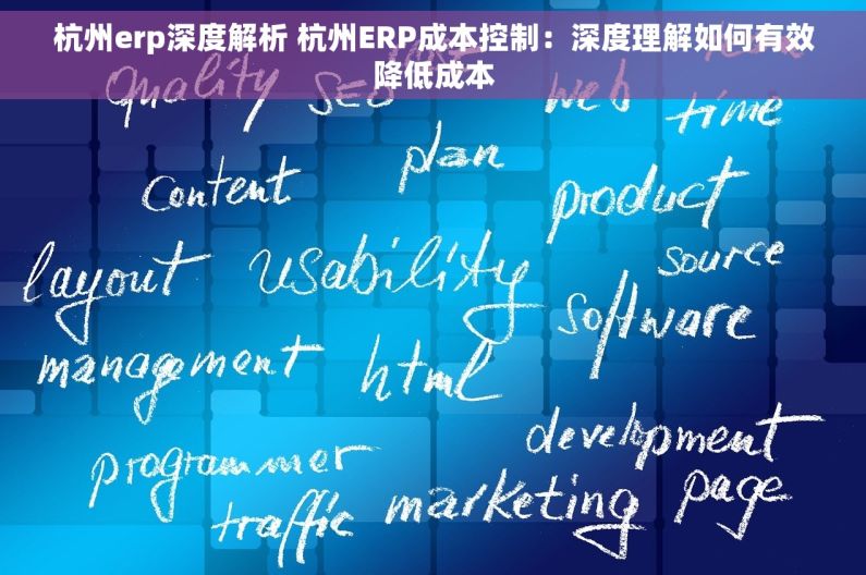 杭州erp深度解析 杭州ERP成本控制：深度理解如何有效降低成本