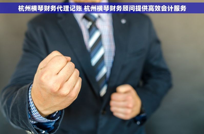 杭州横琴财务代理记账 杭州横琴财务顾问提供高效会计服务