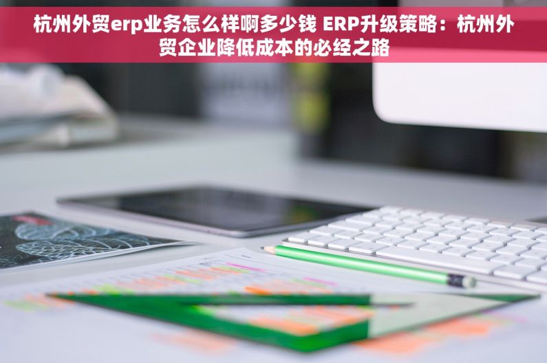 杭州外贸erp业务怎么样啊多少钱 ERP升级策略：杭州外贸企业降低成本的必经之路