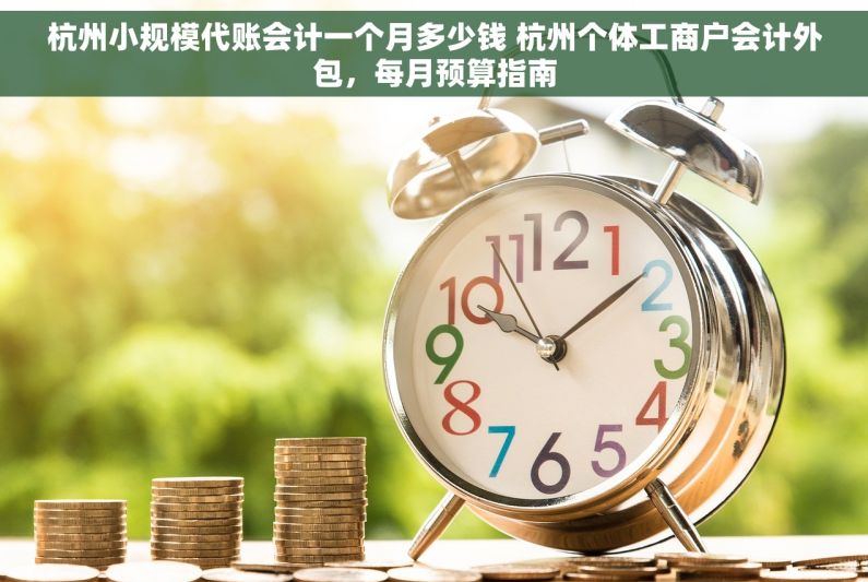 杭州小规模代账会计一个月多少钱 杭州个体工商户会计外包，每月预算指南