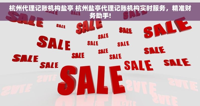 杭州代理记账机构盐亭 杭州盐亭代理记账机构实时服务，精准财务助手!