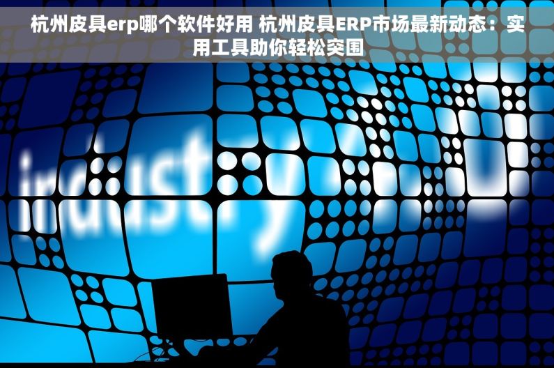 杭州皮具erp哪个软件好用 杭州皮具ERP市场最新动态：实用工具助你轻松突围