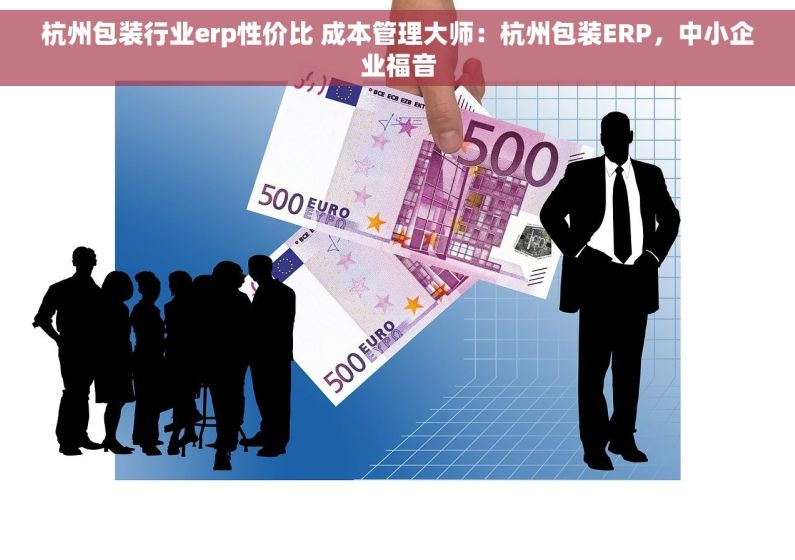 杭州包装行业erp性价比 成本管理大师：杭州包装ERP，中小企业福音