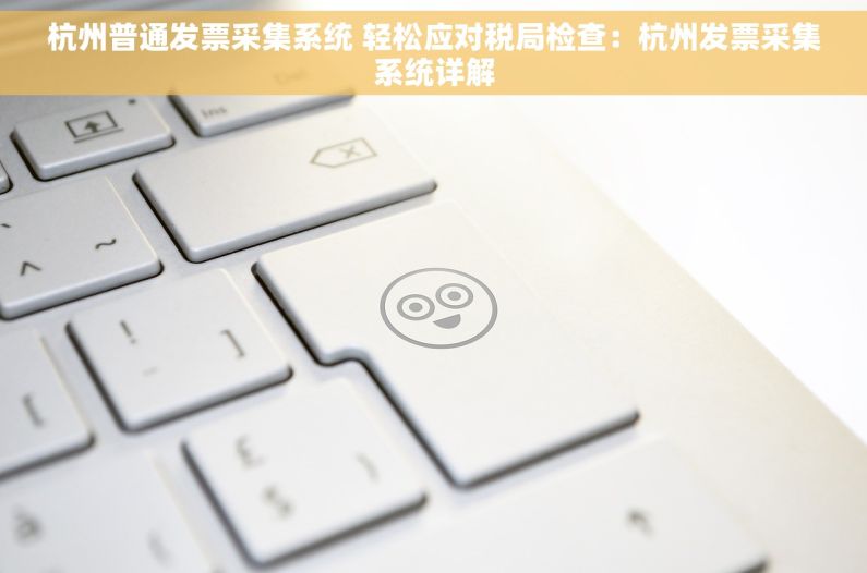 杭州普通发票采集系统 轻松应对税局检查：杭州发票采集系统详解