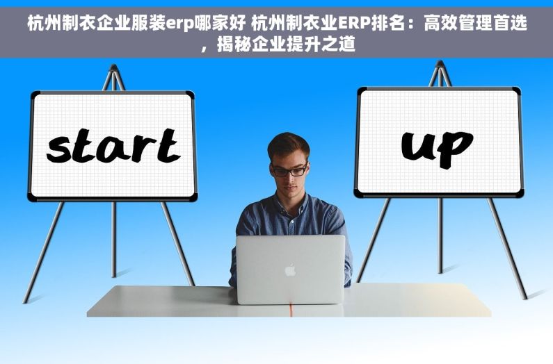 杭州制衣企业服装erp哪家好 杭州制衣业ERP排名：高效管理首选，揭秘企业提升之道