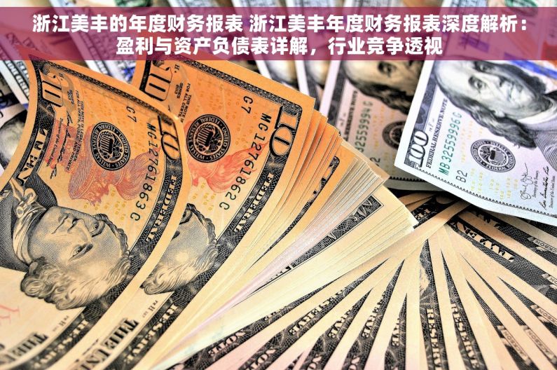 浙江美丰的年度财务报表 浙江美丰年度财务报表深度解析：盈利与资产负债表详解，行业竞争透视