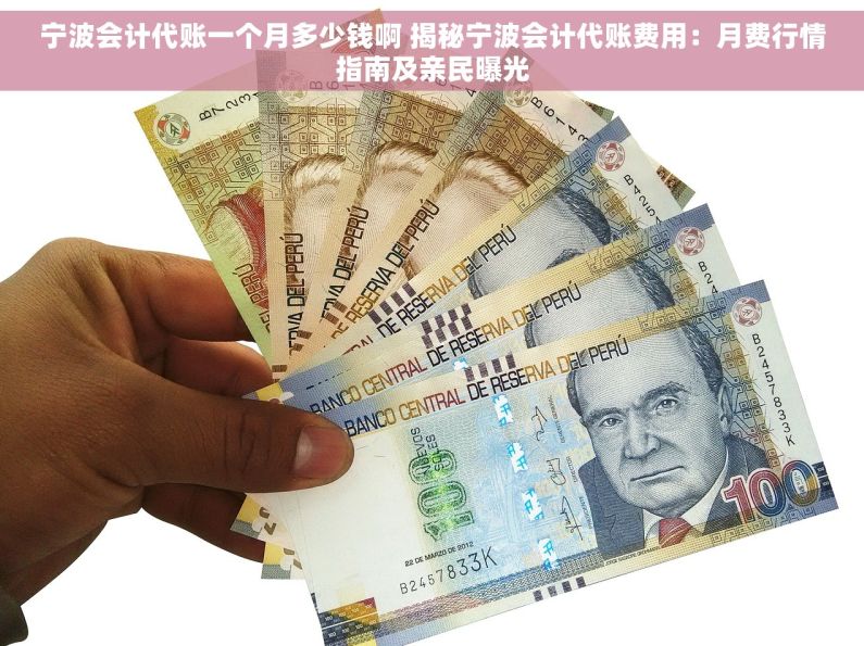 宁波会计代账一个月多少钱啊 揭秘宁波会计代账费用：月费行情指南及亲民曝光
