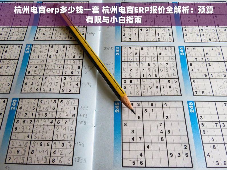 杭州电商erp多少钱一套 杭州电商ERP报价全解析：预算有限与小白指南