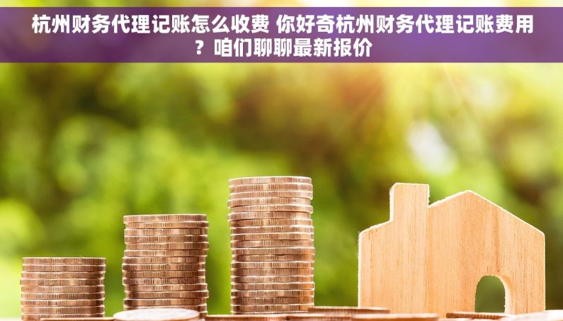 杭州财务代理记账怎么收费 你好奇杭州财务代理记账费用？咱们聊聊最新报价