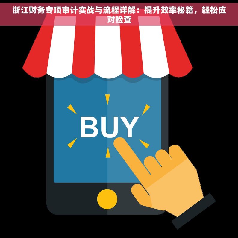 浙江财务专项审计实战与流程详解：提升效率秘籍，轻松应对检查