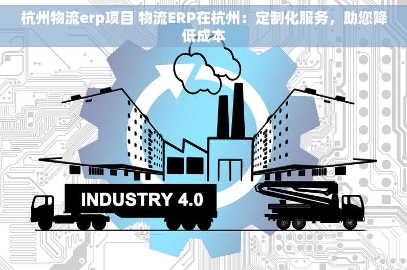 杭州物流erp项目 物流ERP在杭州：定制化服务，助您降低成本