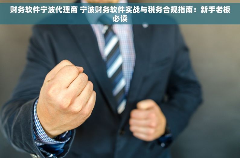 财务软件宁波代理商 宁波财务软件实战与税务合规指南：新手老板必读