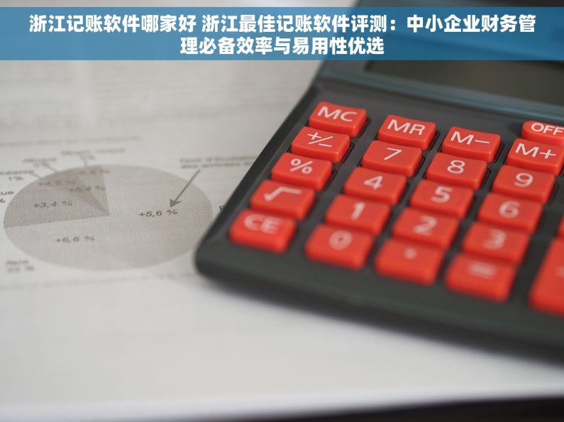 浙江记账软件哪家好 浙江最佳记账软件评测：中小企业财务管理必备效率与易用性优选