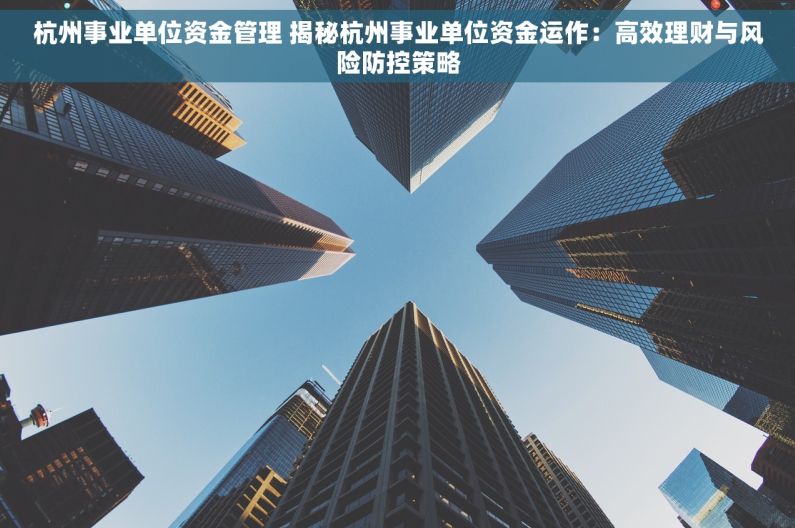 杭州事业单位资金管理 揭秘杭州事业单位资金运作：高效理财与风险防控策略