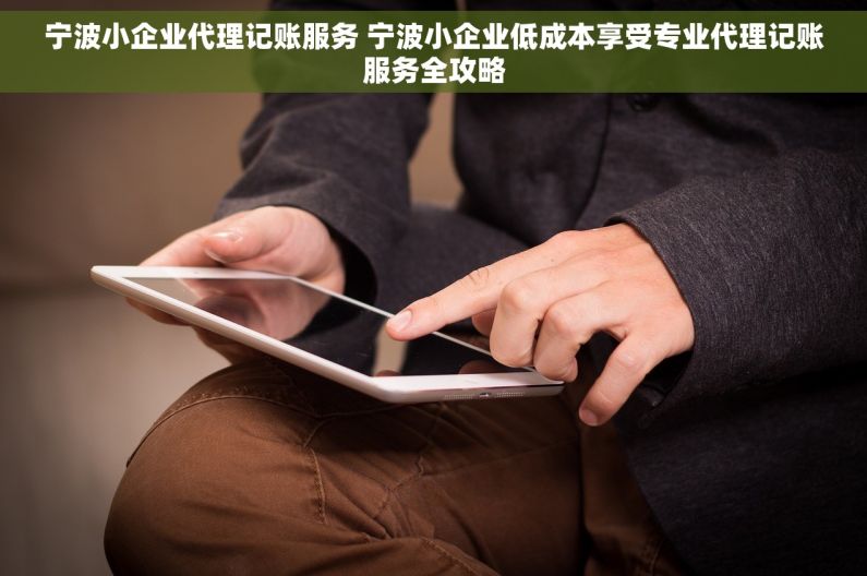 宁波小企业代理记账服务 宁波小企业低成本享受专业代理记账服务全攻略