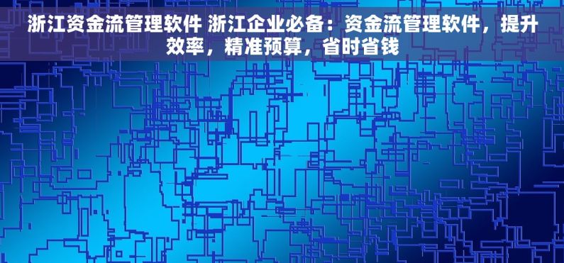 浙江资金流管理软件 浙江企业必备：资金流管理软件，提升效率，精准预算，省时省钱