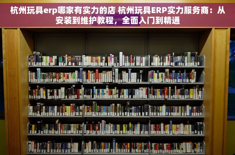 杭州玩具erp哪家有实力的店 杭州玩具ERP实力服务商：从安装到维护教程，全面入门到精通