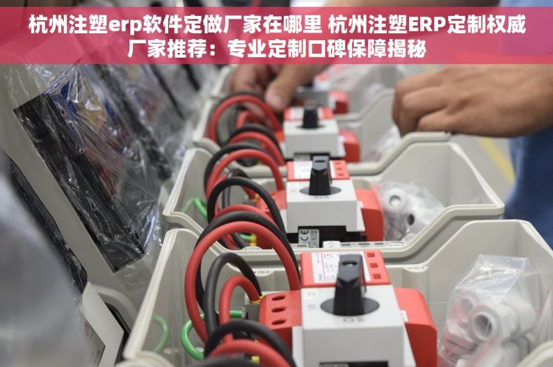 杭州注塑erp软件定做厂家在哪里 杭州注塑ERP定制权威厂家推荐：专业定制口碑保障揭秘