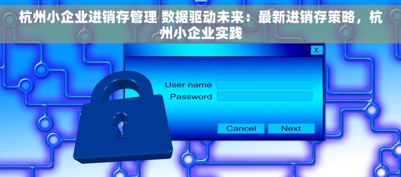 杭州小企业进销存管理 数据驱动未来：最新进销存策略，杭州小企业实践