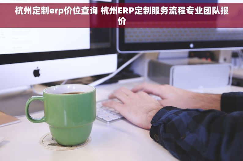 杭州定制erp价位查询 杭州ERP定制服务流程专业团队报价