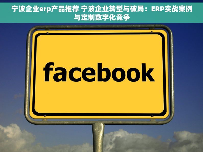 宁波企业erp产品推荐 宁波企业转型与破局：ERP实战案例与定制数字化竞争