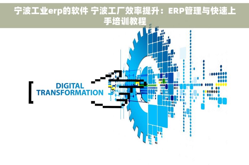 宁波工业erp的软件 宁波工厂效率提升：ERP管理与快速上手培训教程