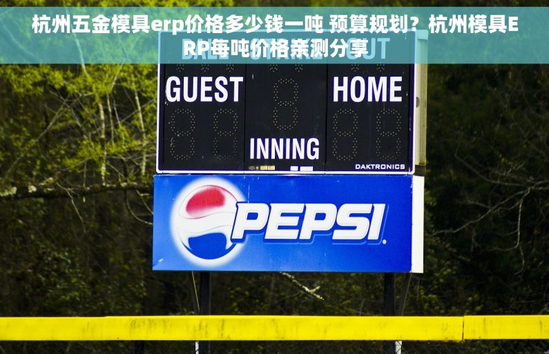 杭州五金模具erp价格多少钱一吨 预算规划？杭州模具ERP每吨价格亲测分享