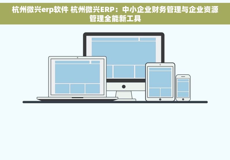 杭州微兴erp软件 杭州微兴ERP：中小企业财务管理与企业资源管理全能新工具