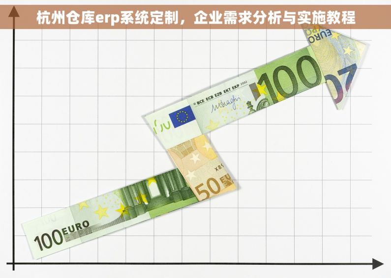 杭州仓库erp系统定制，企业需求分析与实施教程