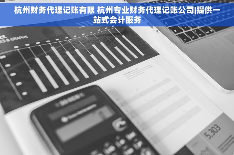 杭州财务代理记账有限 杭州专业财务代理记账公司|提供一站式会计服务