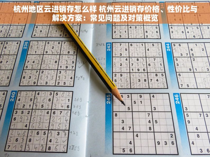 杭州地区云进销存怎么样 杭州云进销存价格、性价比与解决方案：常见问题及对策概览