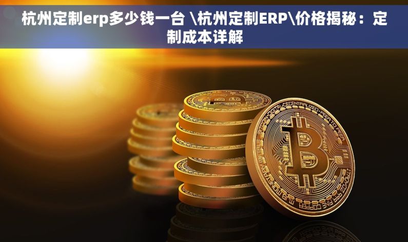 杭州定制erp多少钱一台 \杭州定制ERP\价格揭秘：定制成本详解
